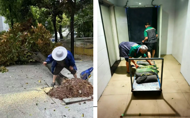 闻汛而动 共筑安全防线